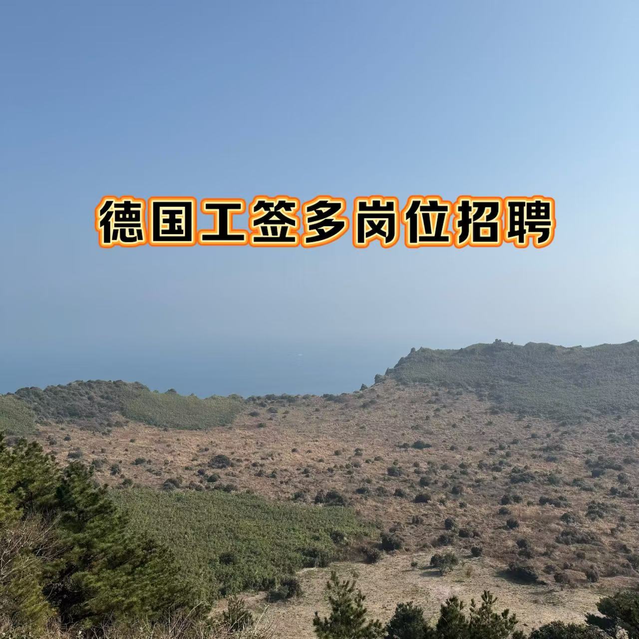 德国工作签证招聘 海外仓多岗位热招中